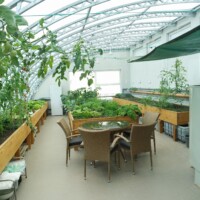 Aquaponics